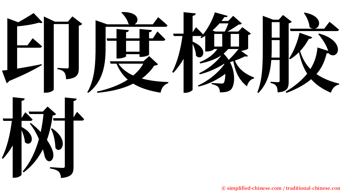 印度橡胶树 serif font