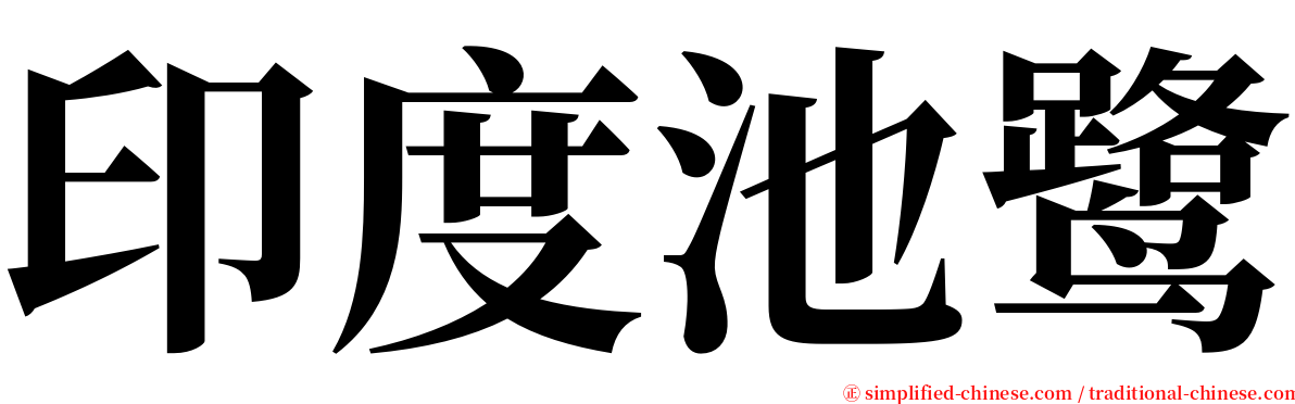 印度池鹭 serif font