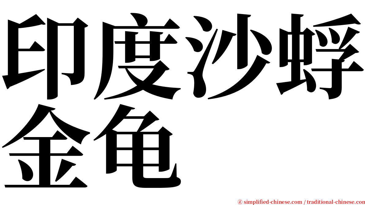 印度沙蜉金龟 serif font