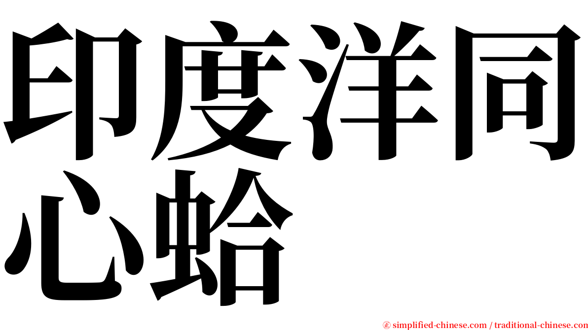 印度洋同心蛤 serif font