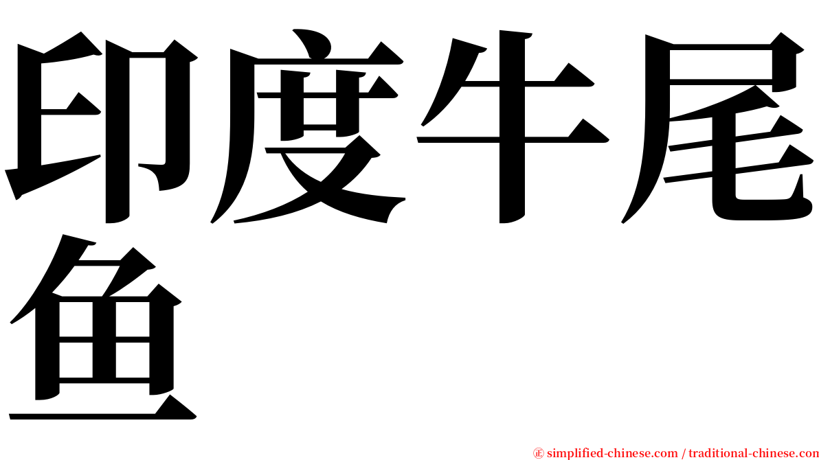 印度牛尾鱼 serif font