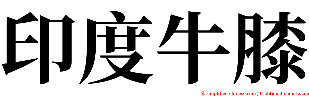 印度牛膝 serif font