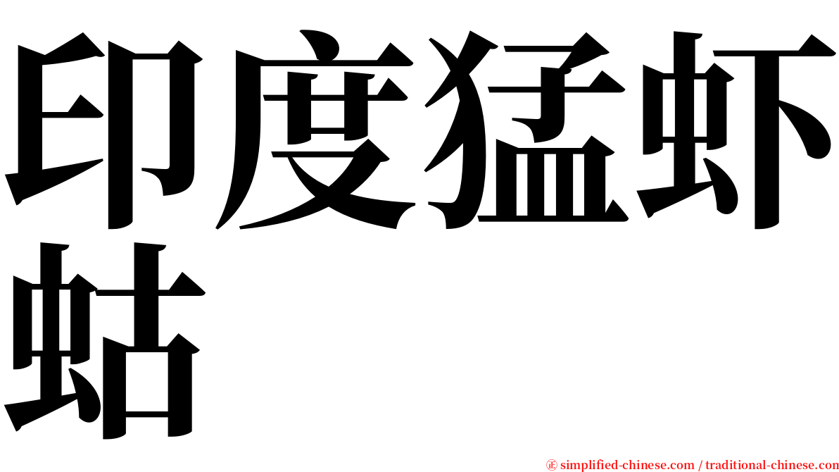 印度猛虾蛄 serif font