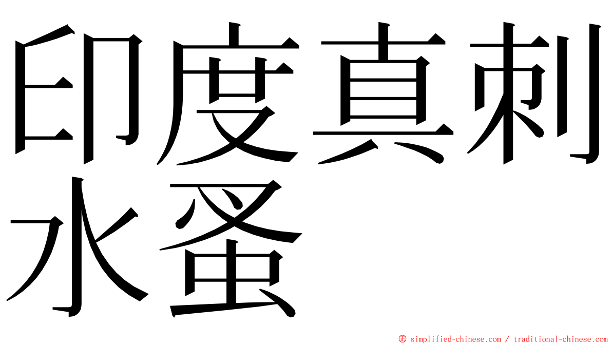 印度真刺水蚤 ming font