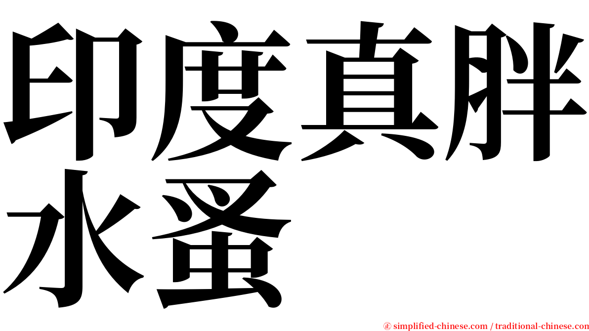 印度真胖水蚤 serif font