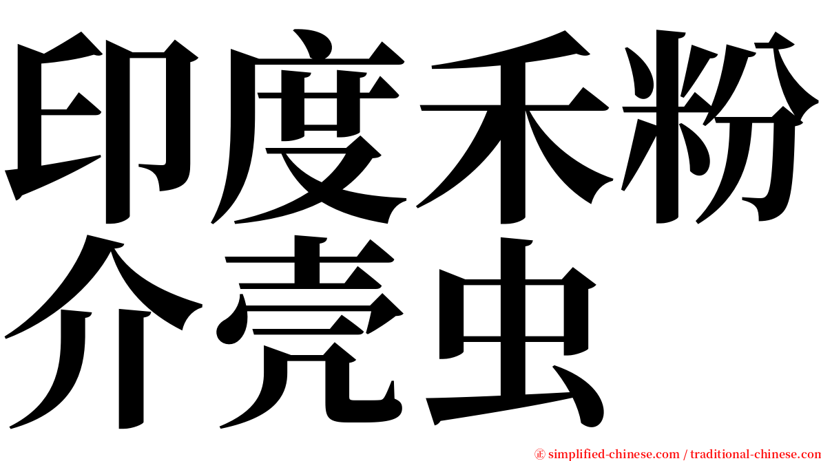 印度禾粉介壳虫 serif font