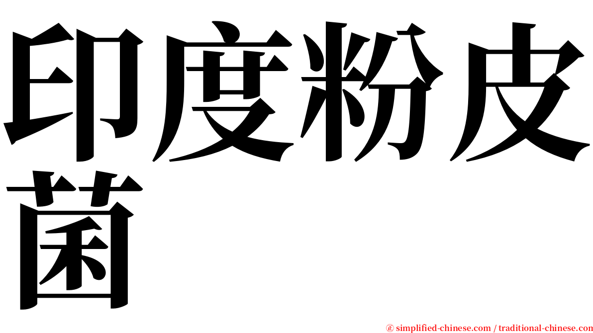 印度粉皮菌 serif font