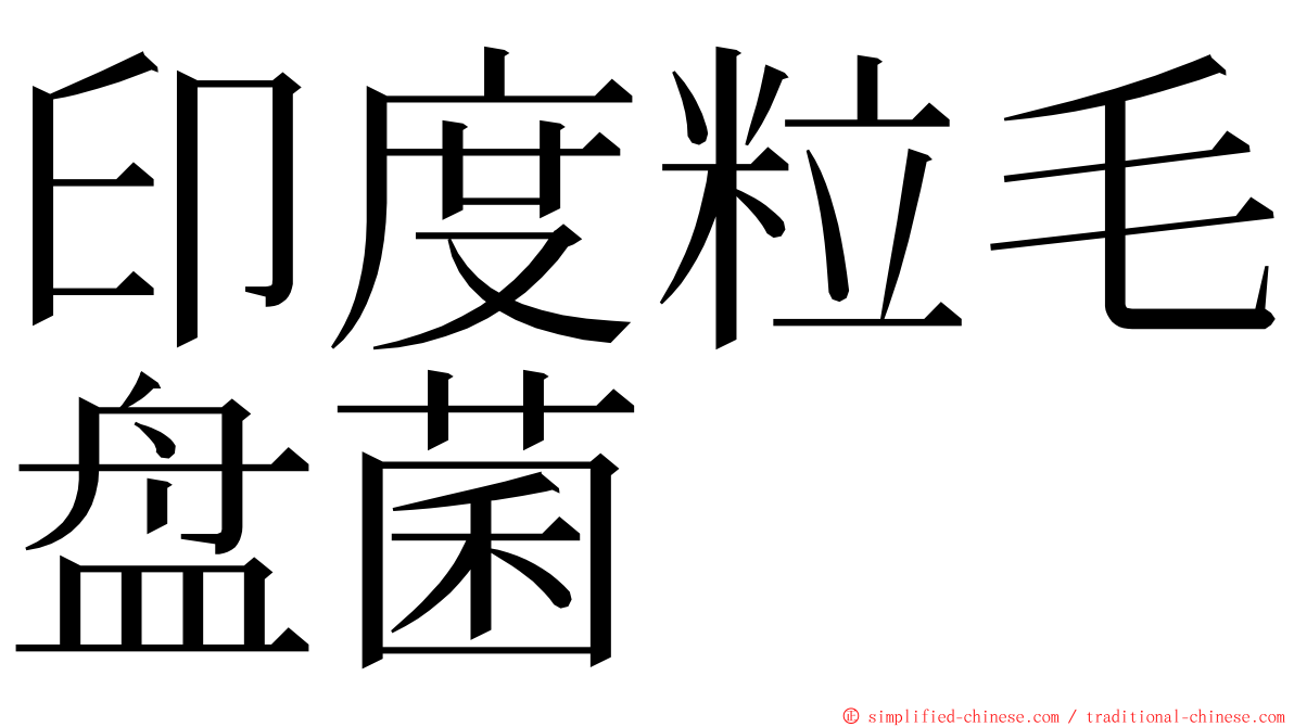 印度粒毛盘菌 ming font