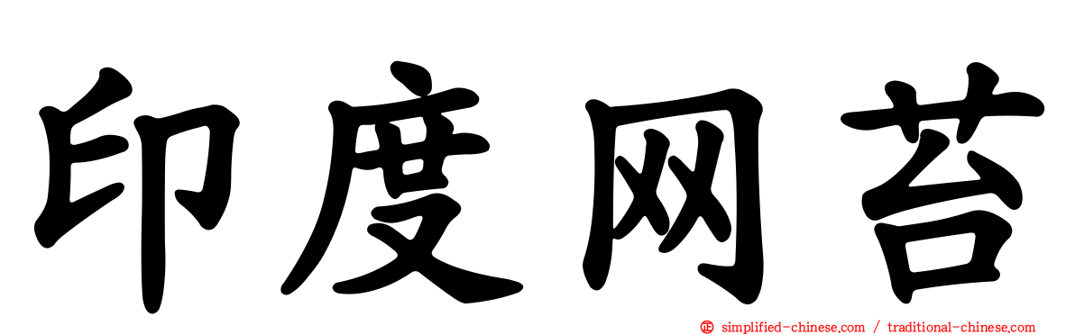 印度网苔