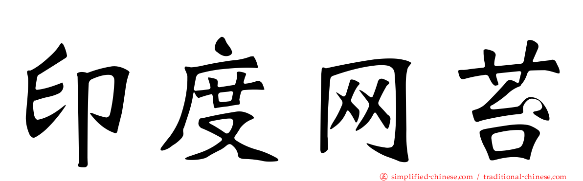 印度网苔