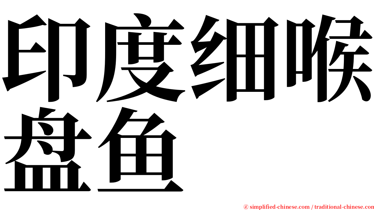 印度细喉盘鱼 serif font