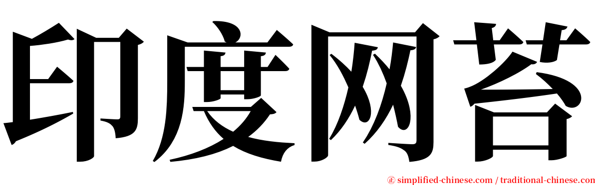印度网苔 serif font