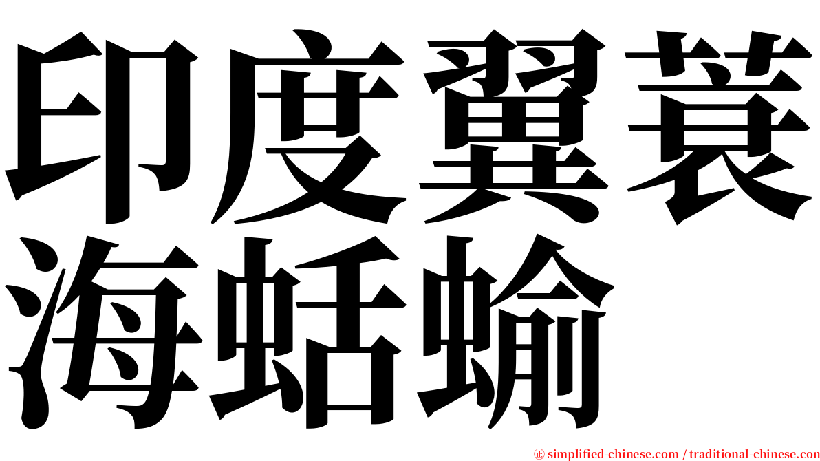 印度翼蓑海蛞蝓 serif font