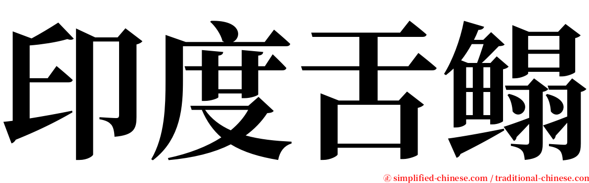 印度舌鳎 serif font