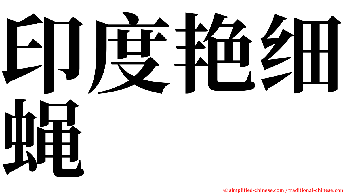 印度艳细蝇 serif font