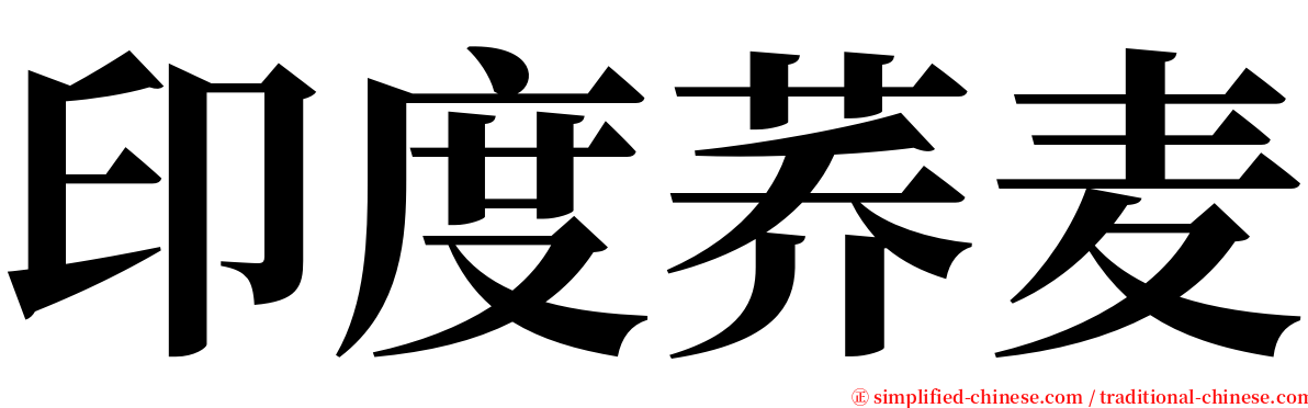 印度荞麦 serif font