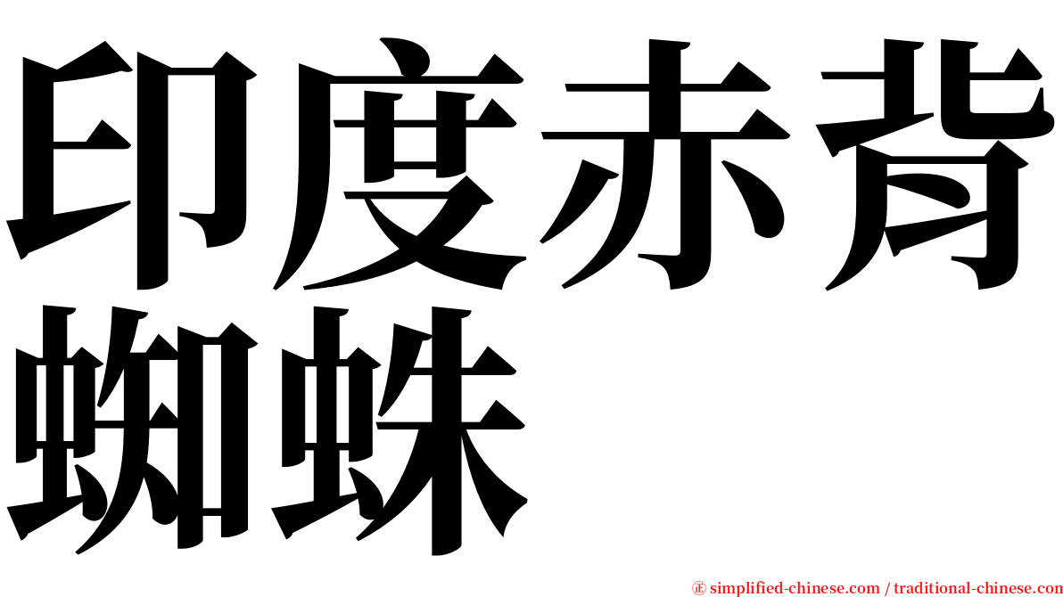 印度赤背蜘蛛 serif font