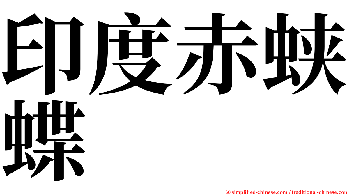 印度赤蛱蝶 serif font