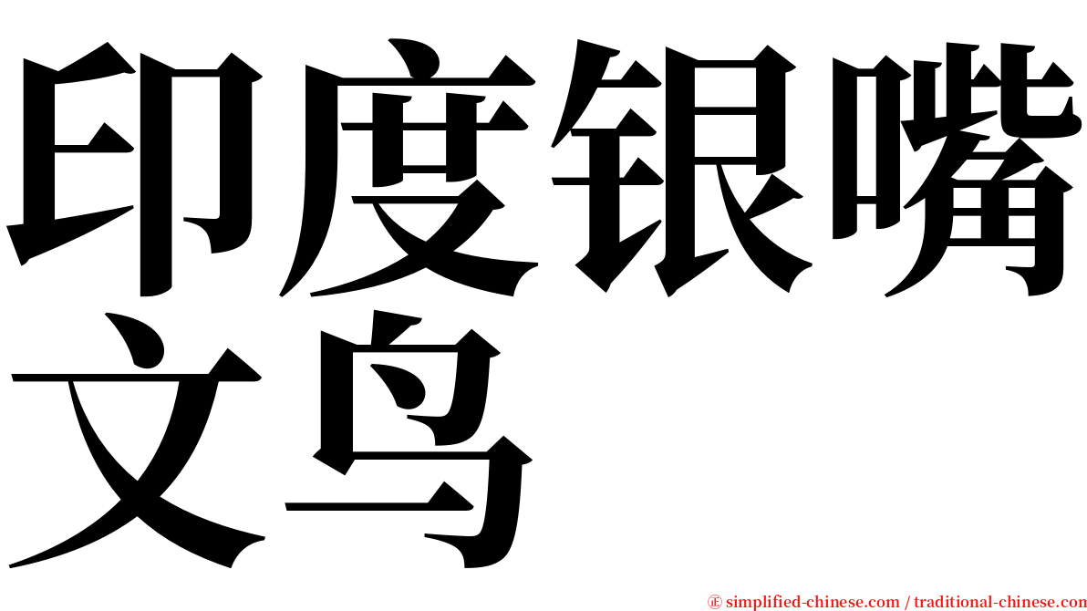 印度银嘴文鸟 serif font