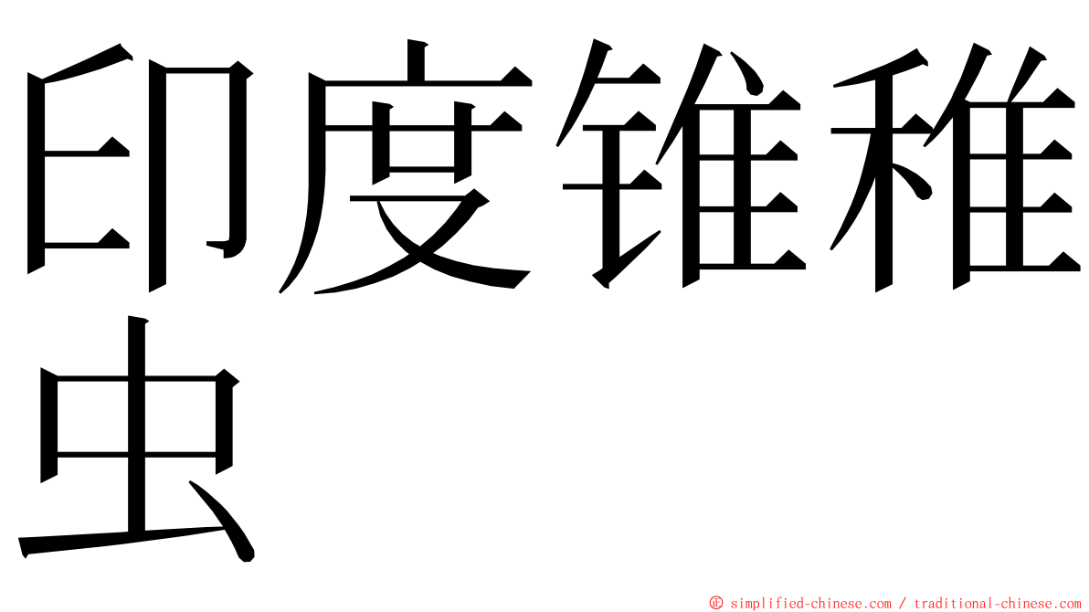 印度锥稚虫 ming font