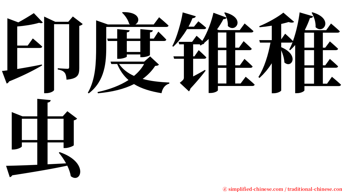 印度锥稚虫 serif font