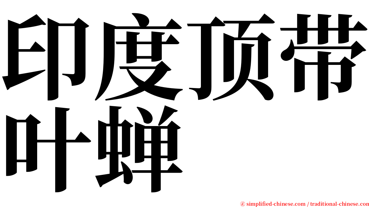 印度顶带叶蝉 serif font