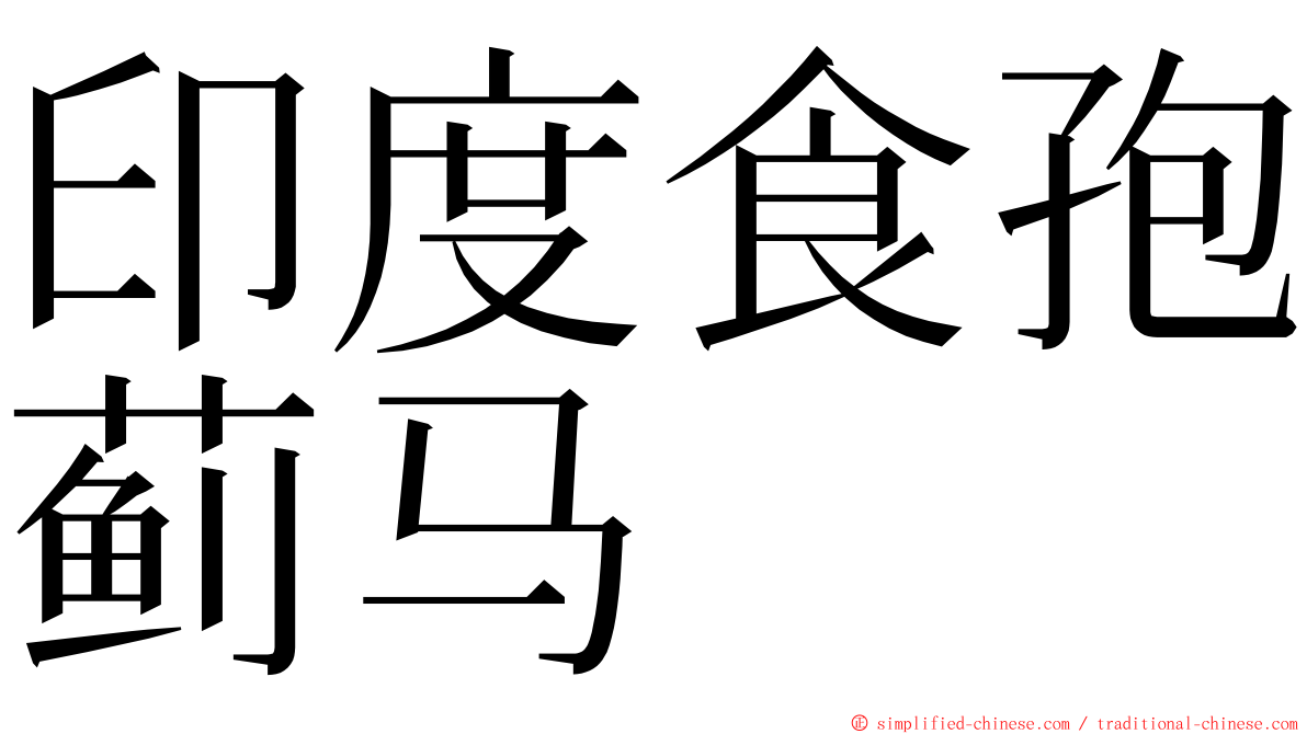 印度食孢蓟马 ming font