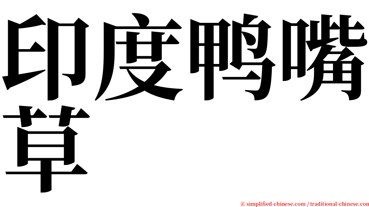 印度鸭嘴草 serif font