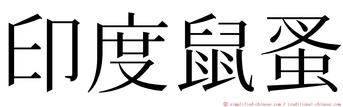 印度鼠蚤 ming font