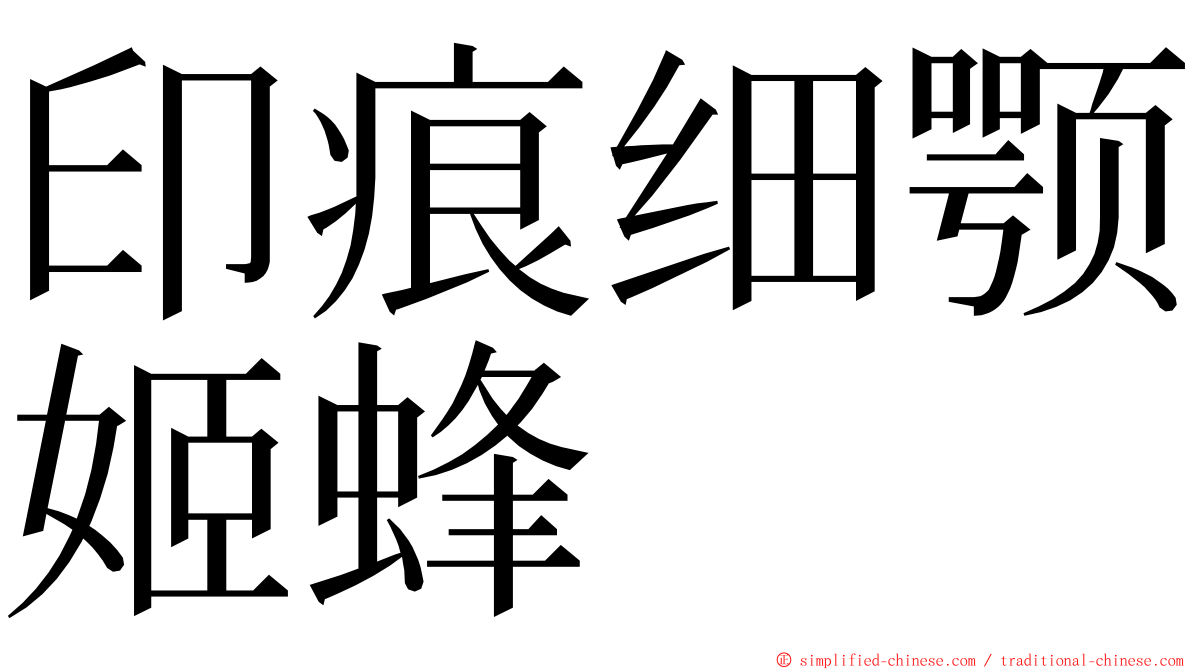 印痕细颚姬蜂 ming font