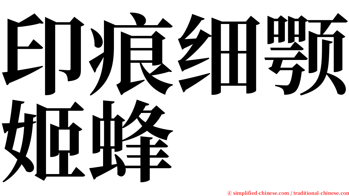 印痕细颚姬蜂 serif font