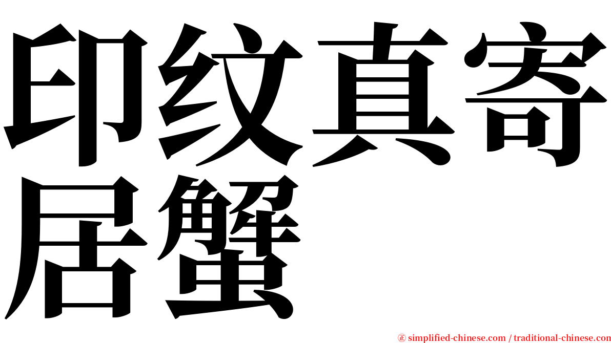 印纹真寄居蟹 serif font