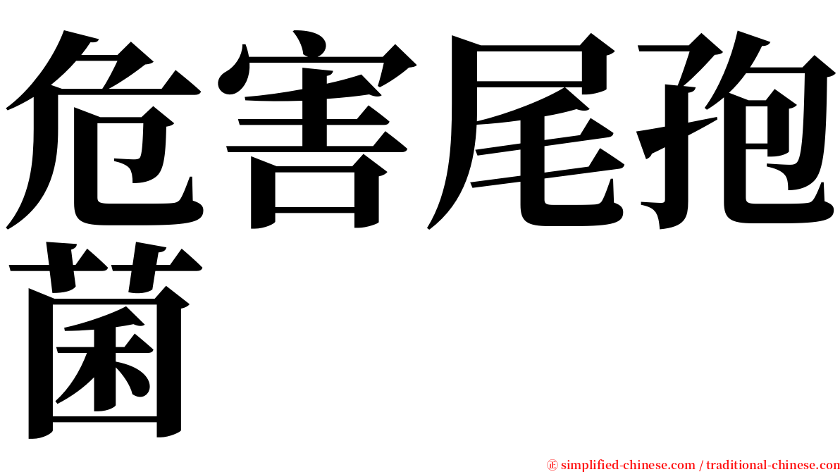 危害尾孢菌 serif font