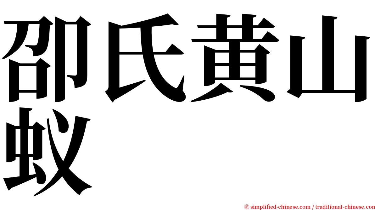 卲氏黄山蚁 serif font