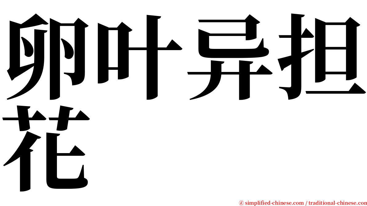 卵叶异担花 serif font