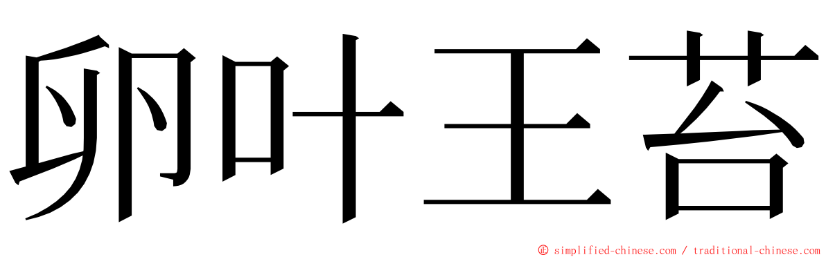 卵叶王苔 ming font