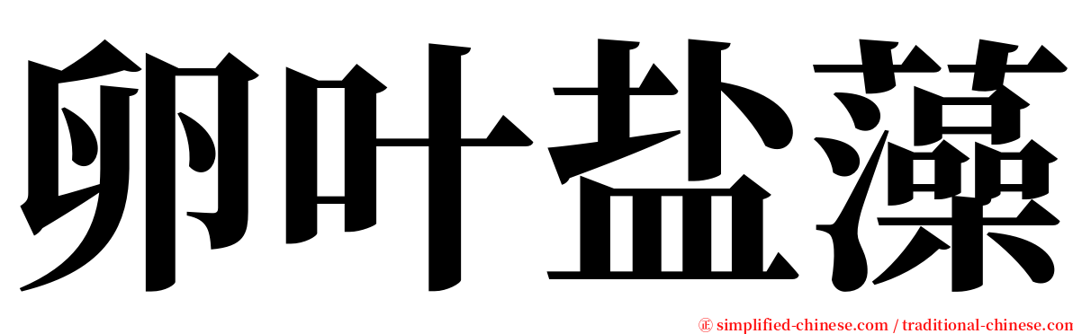 卵叶盐藻 serif font