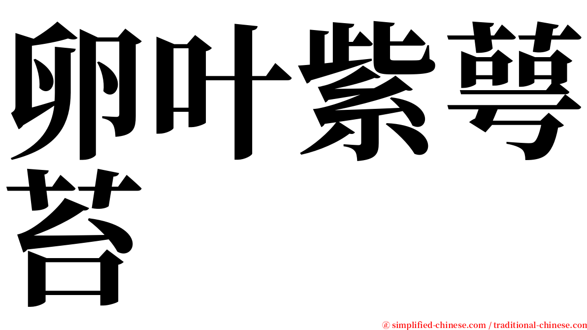 卵叶紫萼苔 serif font