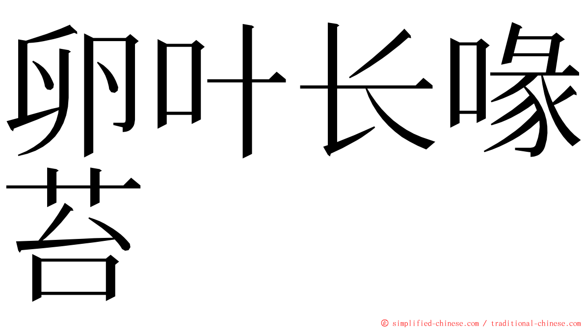 卵叶长喙苔 ming font