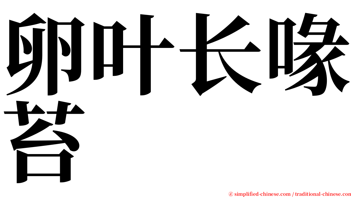 卵叶长喙苔 serif font