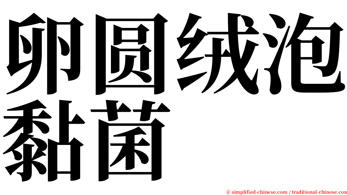 卵圆绒泡黏菌 serif font