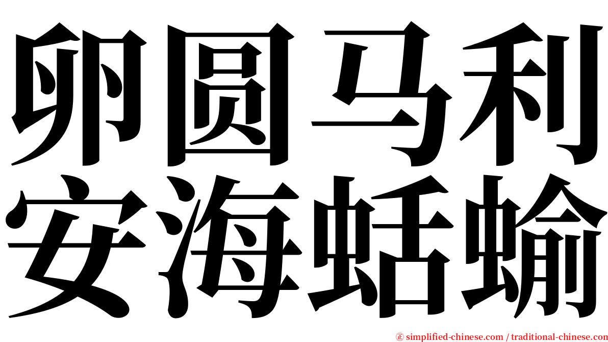 卵圆马利安海蛞蝓 serif font