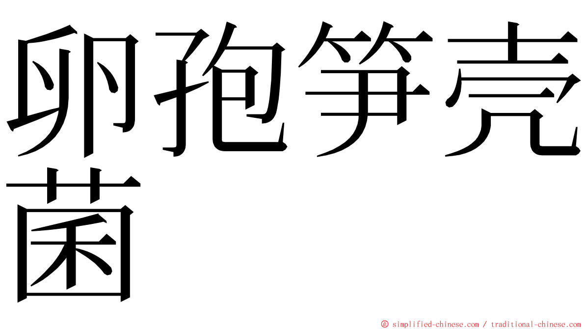 卵孢笋壳菌 ming font