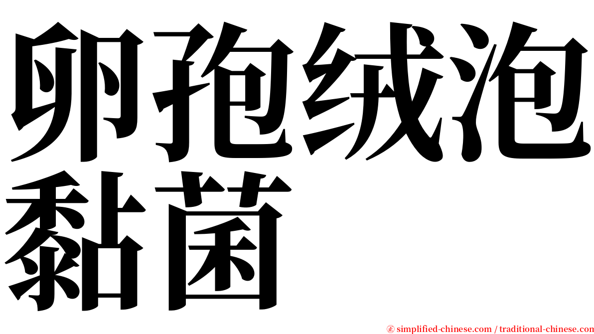 卵孢绒泡黏菌 serif font