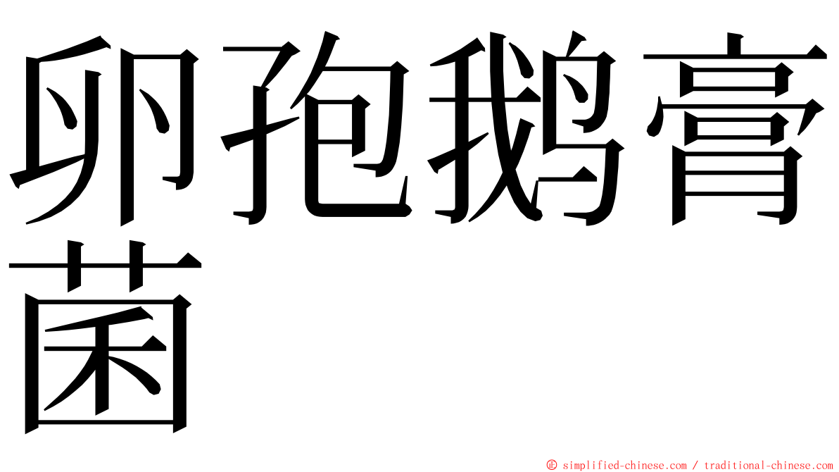 卵孢鹅膏菌 ming font