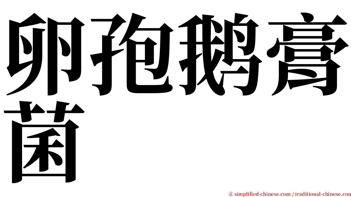 卵孢鹅膏菌 serif font