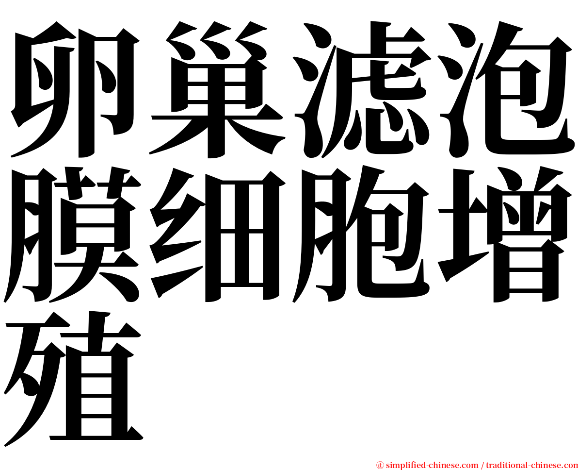 卵巢滤泡膜细胞增殖 serif font