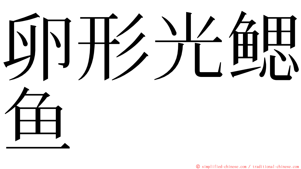 卵形光鳃鱼 ming font