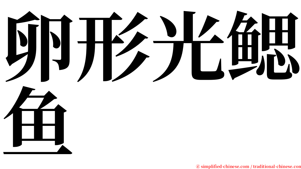 卵形光鳃鱼 serif font