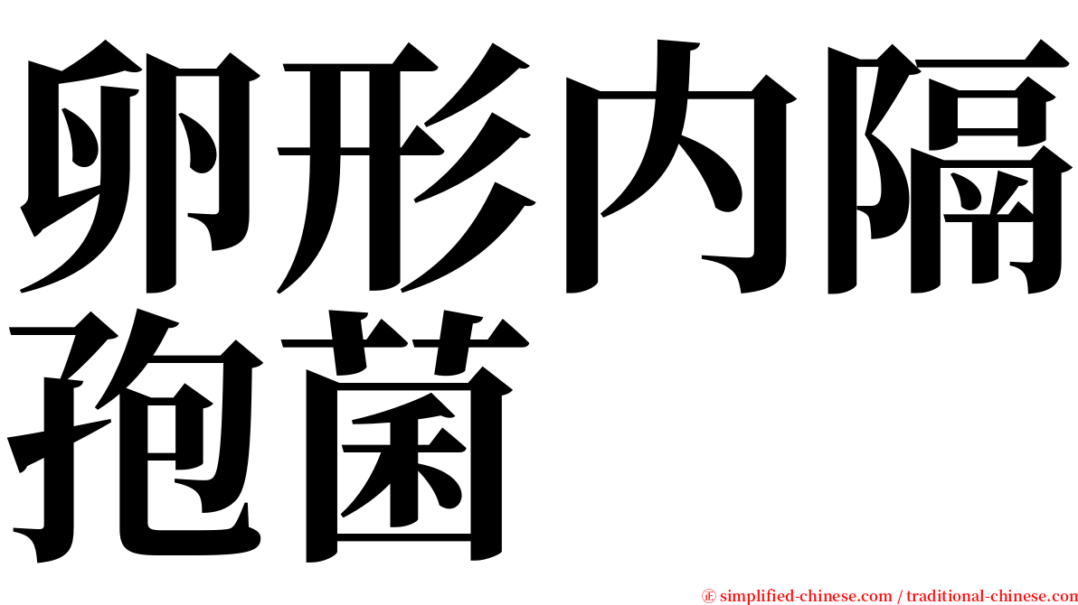 卵形内隔孢菌 serif font